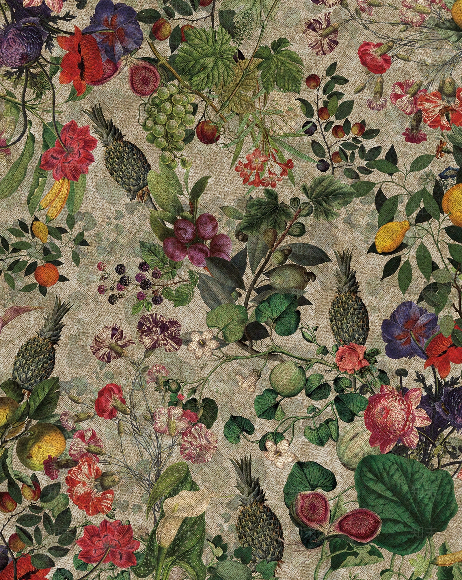 绿植花卉壁纸贴图下载【ID:796906108】