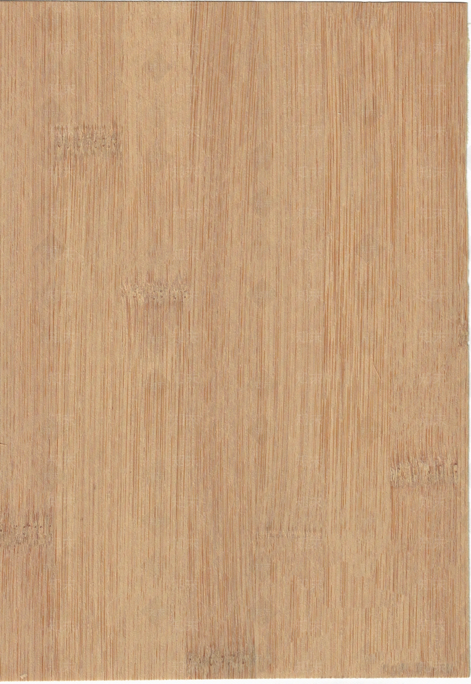 碳化平压竹纹贴图下载【ID:996932866】