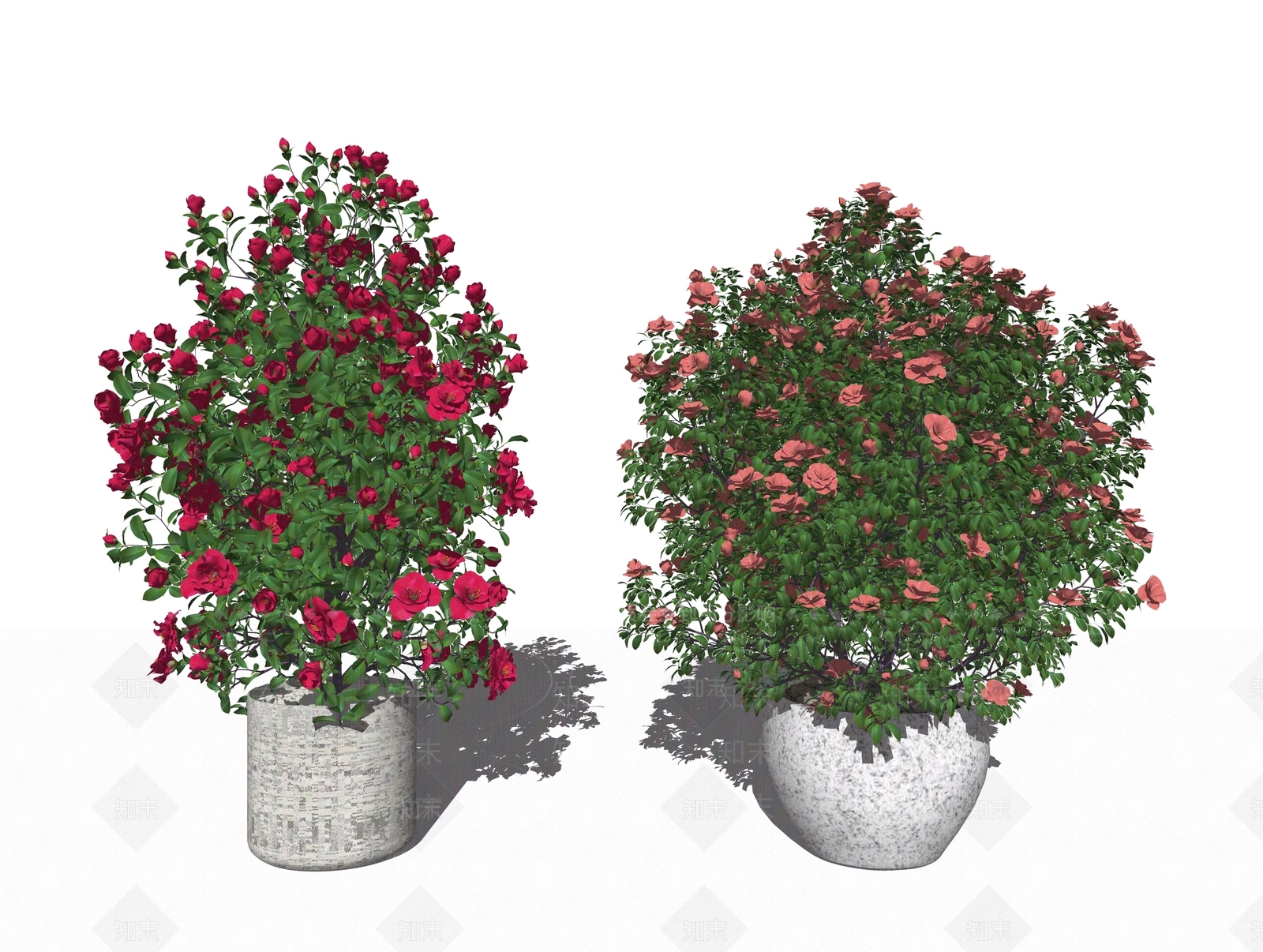 现代花卉盆栽SU模型下载【ID:197055852】