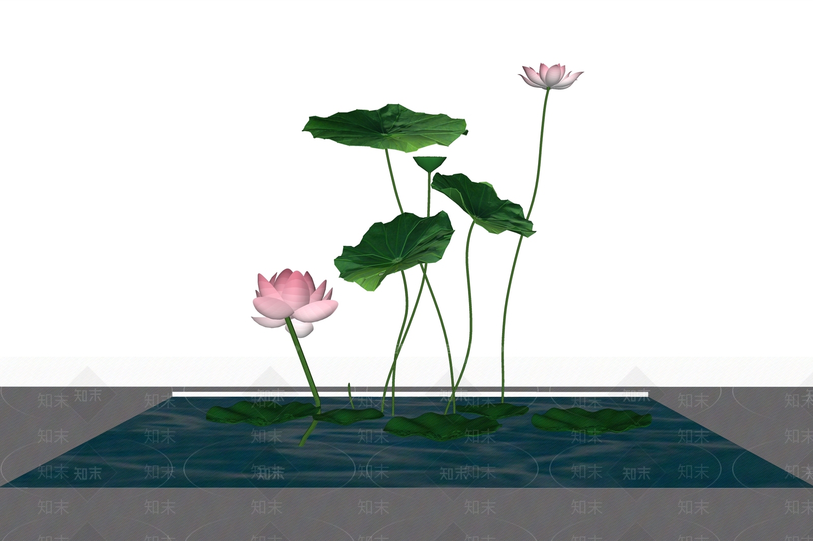 现代荷花SU模型下载【ID:197067598】