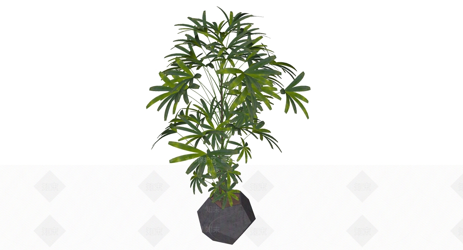 现代室内植物盆栽SU模型下载【ID:197442888】
