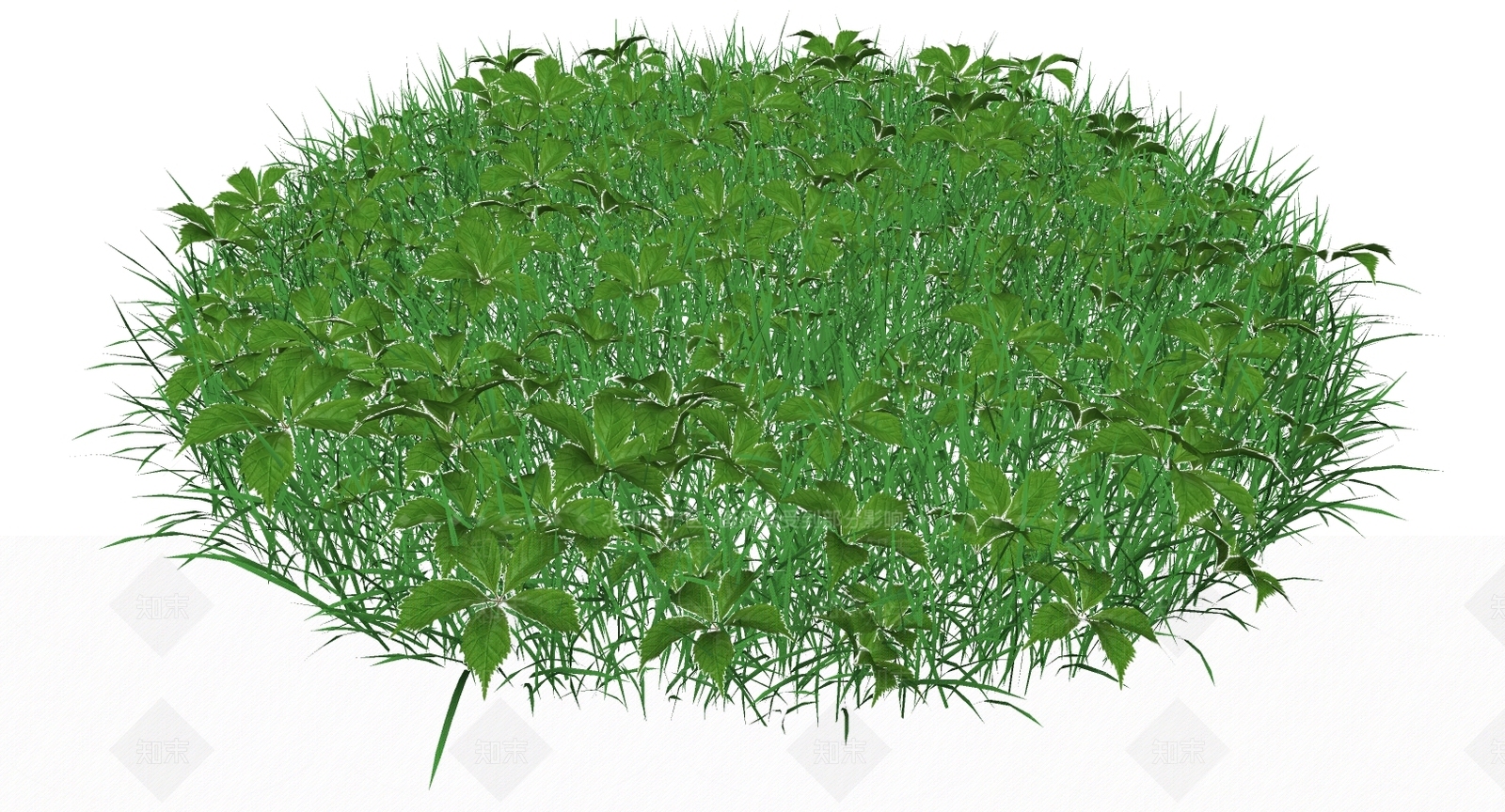 现代室外植物草SU模型下载【ID:297443172】