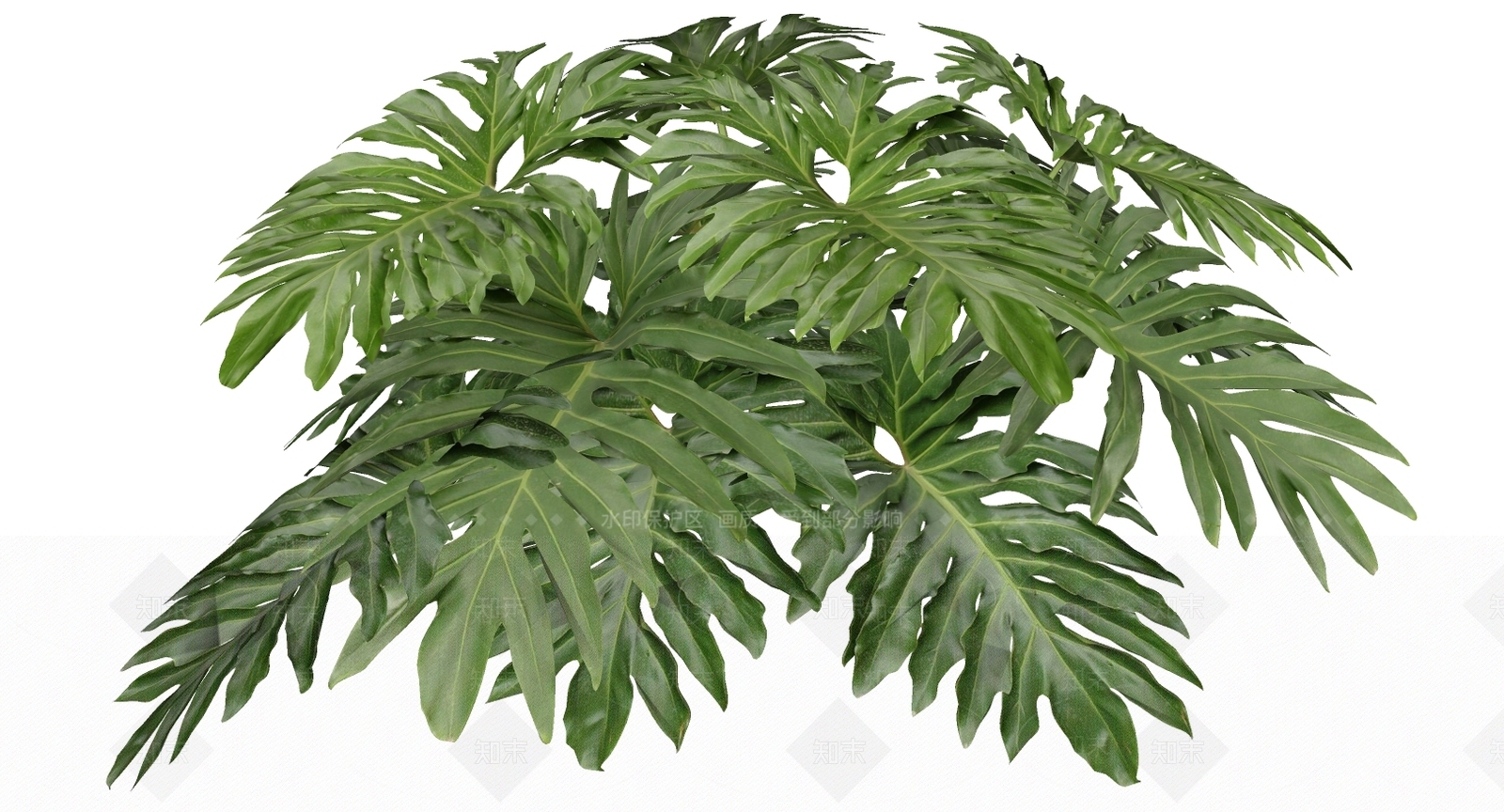 现代室外植物草SU模型下载【ID:297444100】