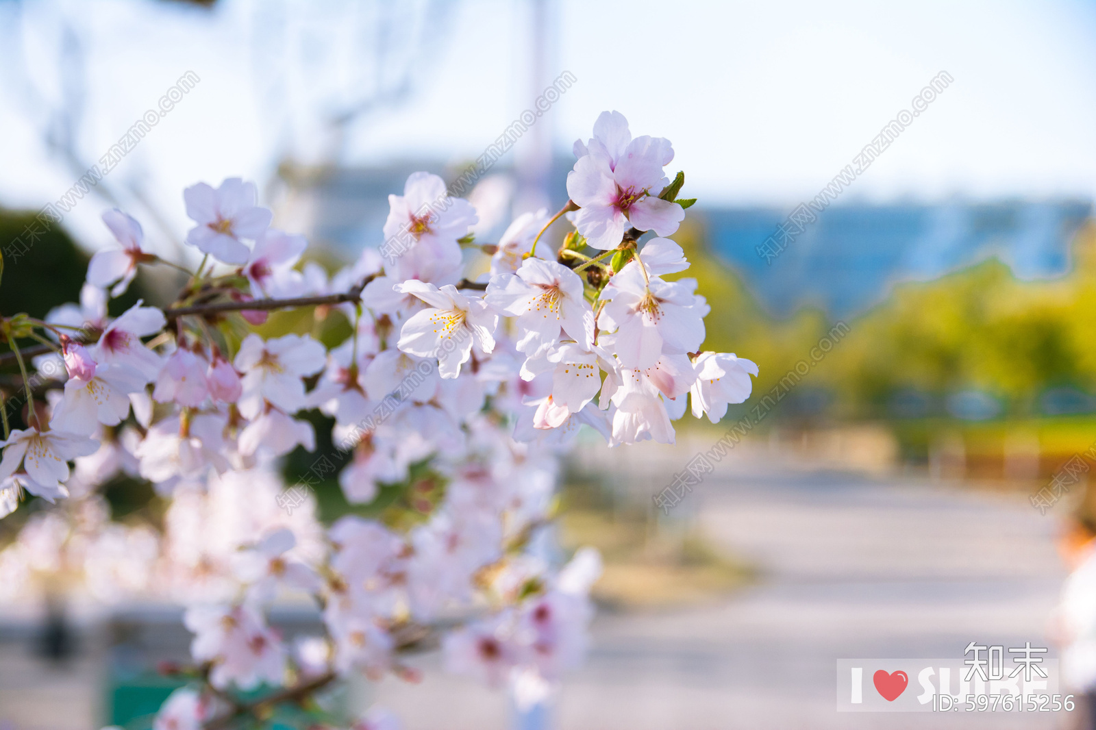 【易贸壁纸】贴图下载【ID:597615256】