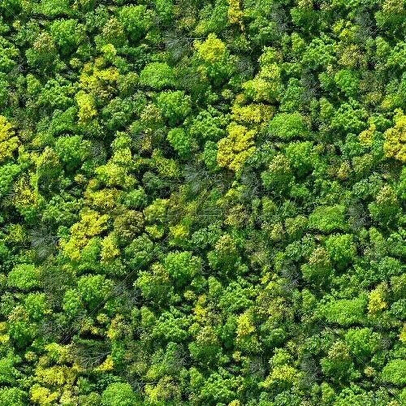 景观植物贴图下载【ID:697803578】