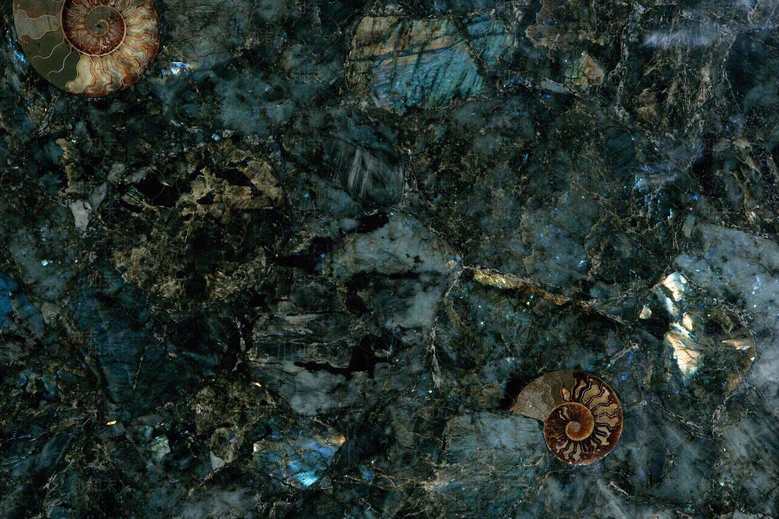 萤火森林发光奢石贴图下载【ID:798238947】