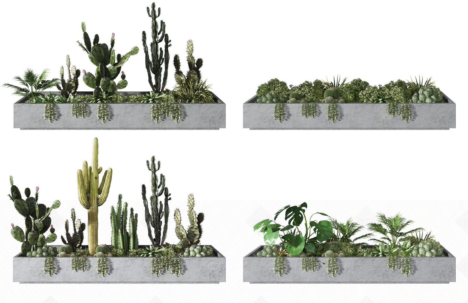 现代花池仙人掌组合3D模型下载【ID:698324772】