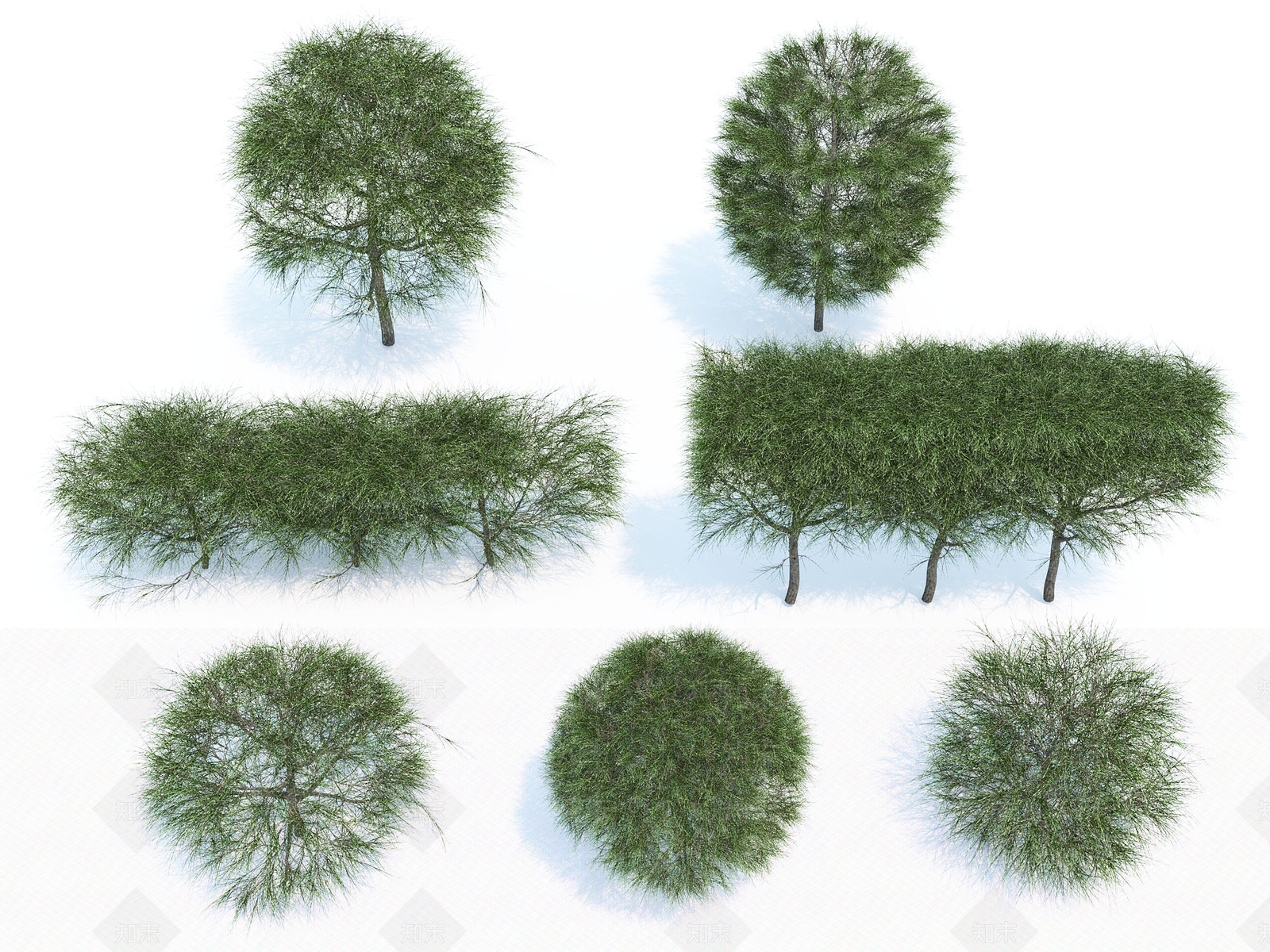 现代灌木球3D模型下载【ID:398335518】