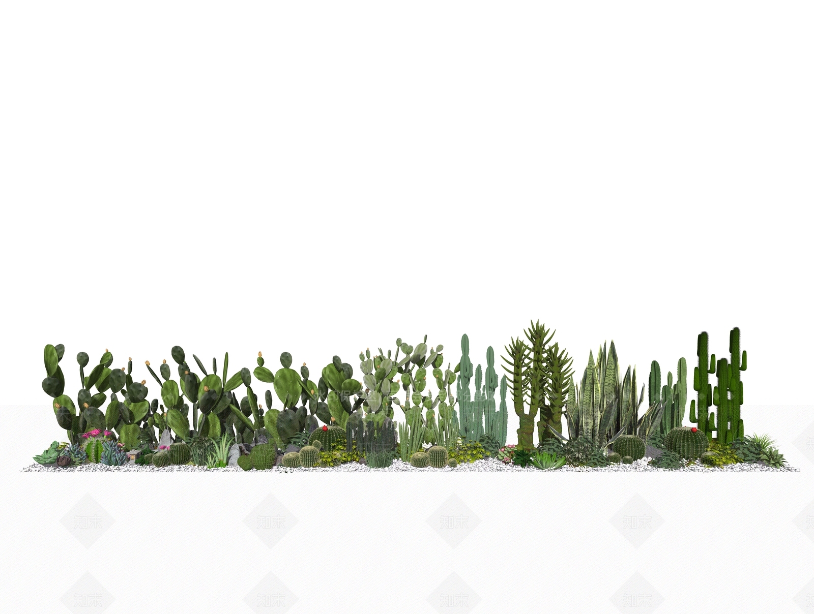 现代景观植物SU模型下载【ID:198523885】