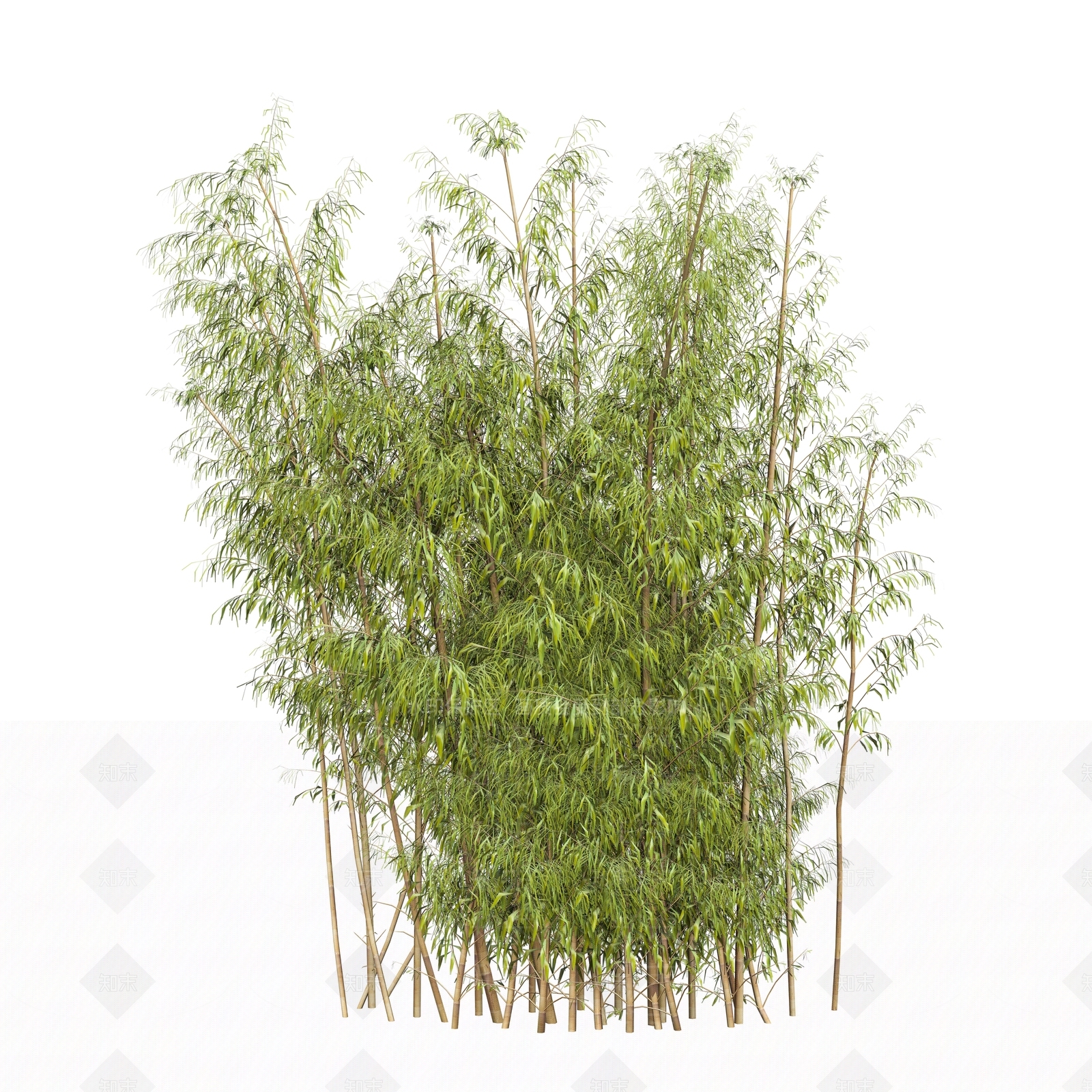 现代竹子3D模型下载【ID:398543791】