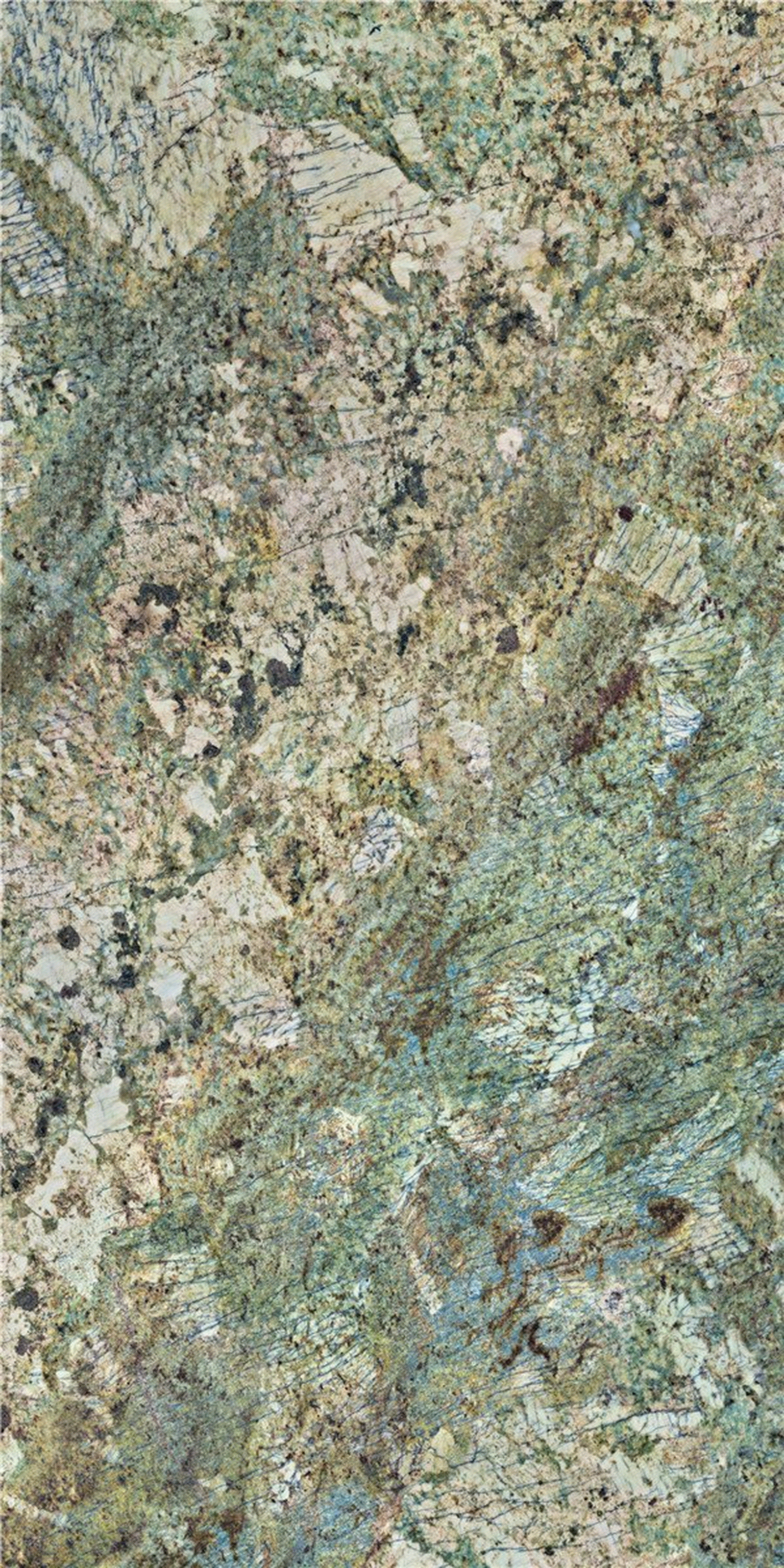 新雨林绿贴图下载【ID:398752729】