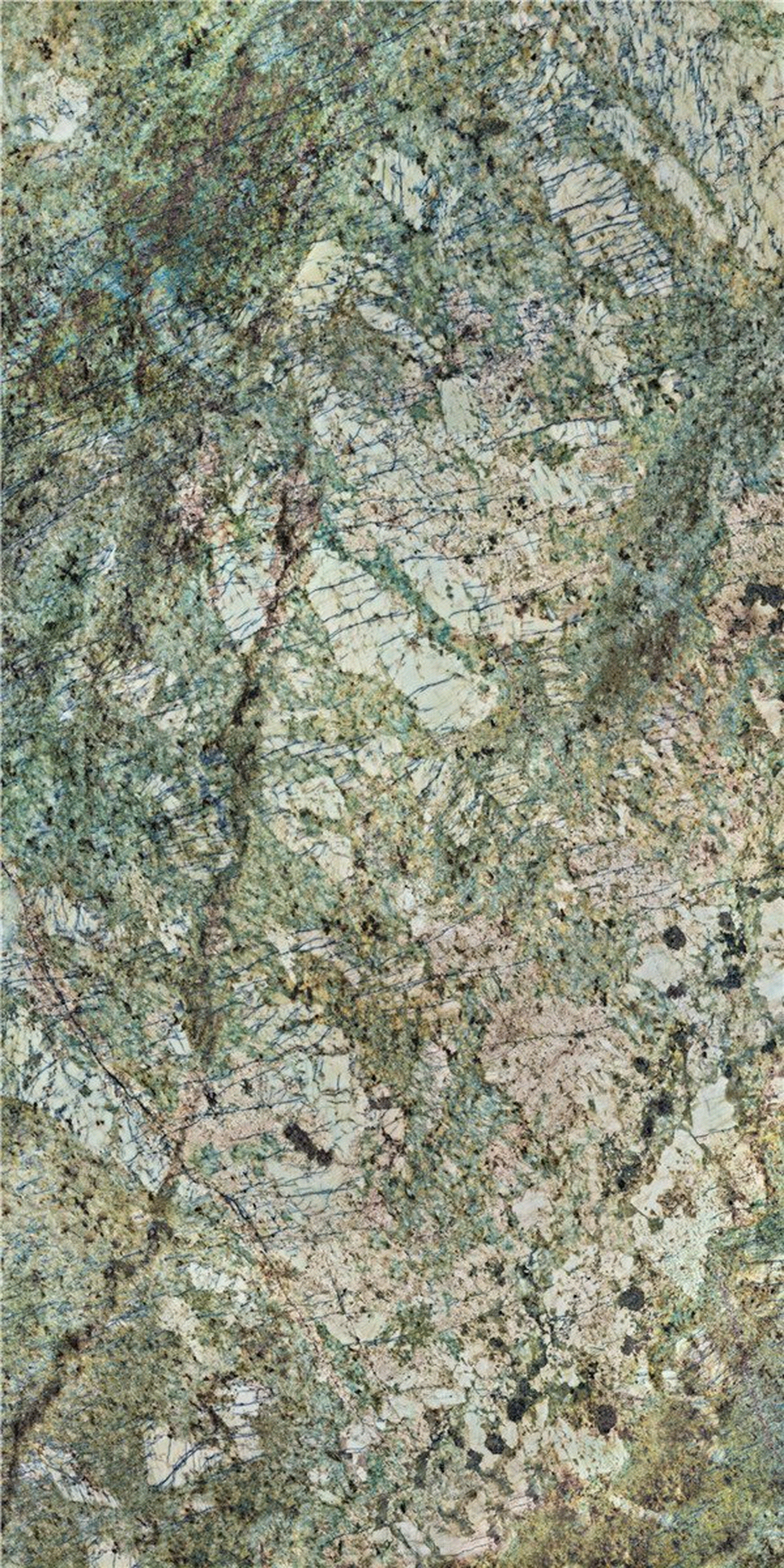 新雨林绿贴图下载【ID:398752736】