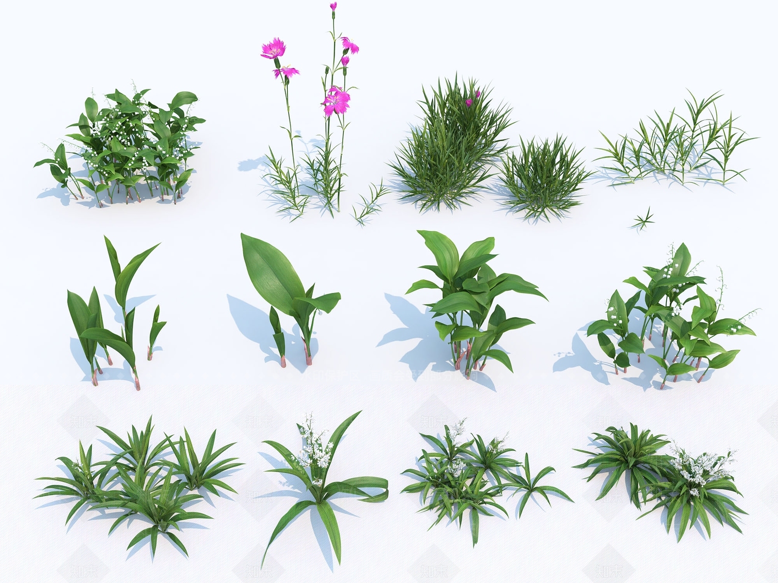 现代花草花卉3D模型下载【ID:398768504】