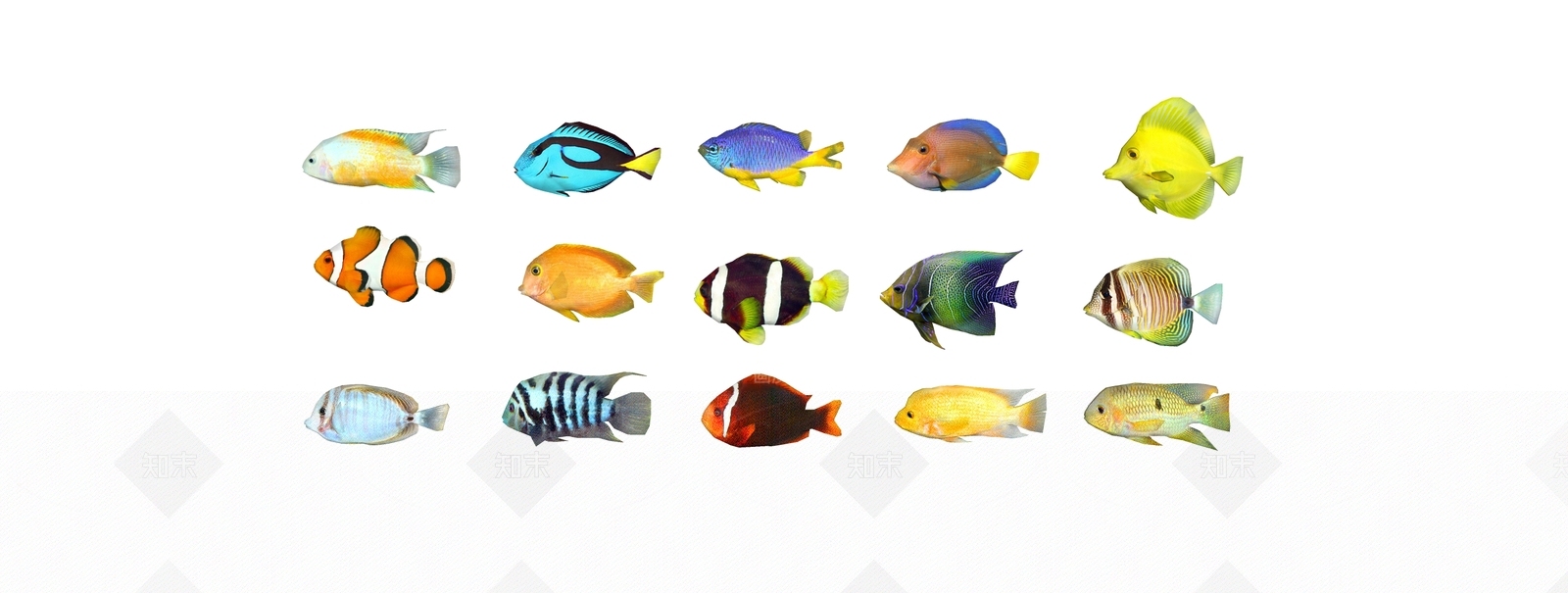 现代水生类动物SU模型下载【ID:798897614】