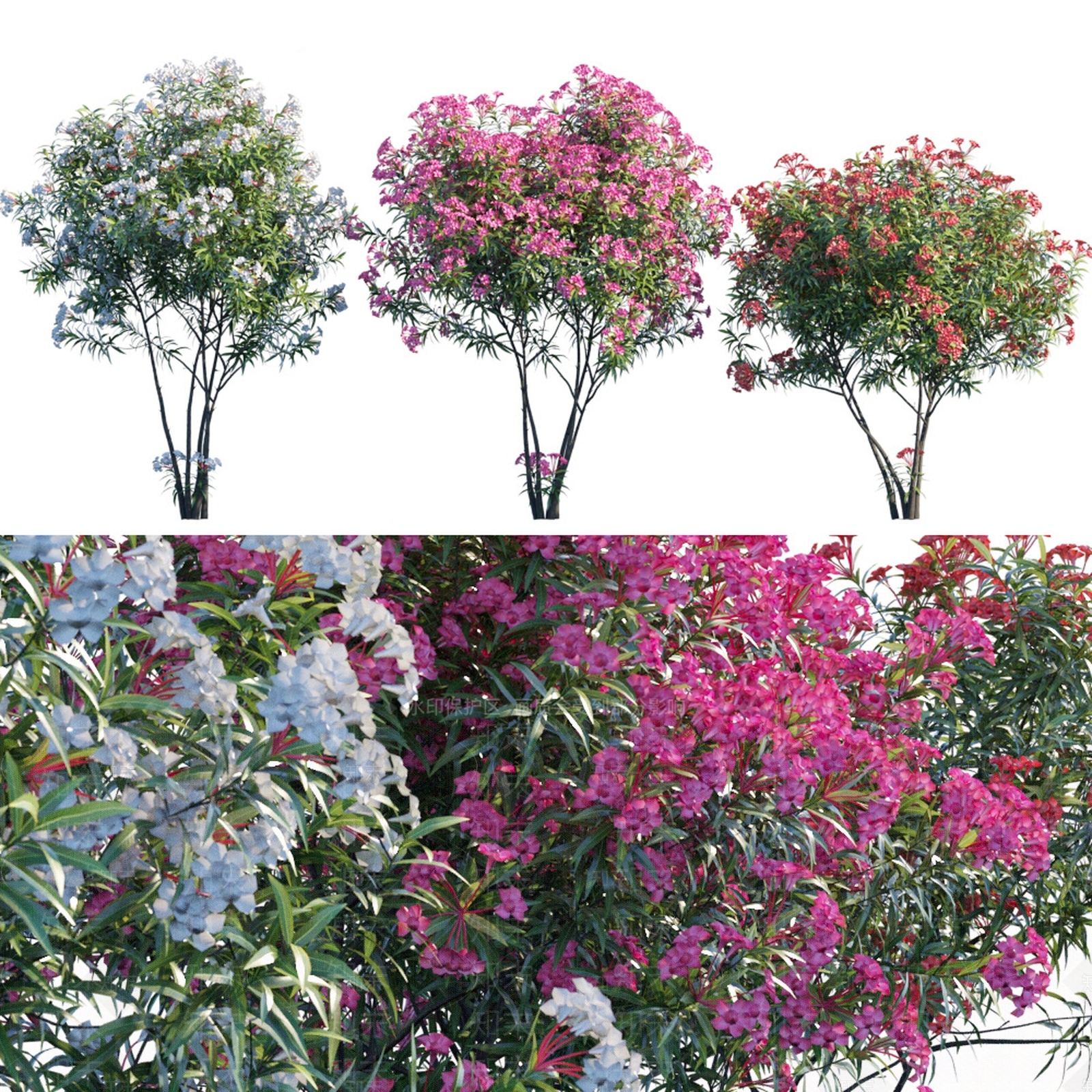现代树木3D模型下载【ID:398912647】