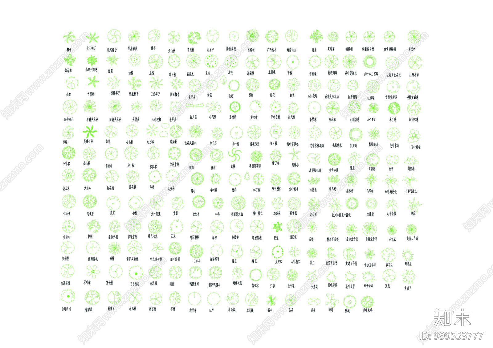 常用树木施工图下载【ID:999553777】
