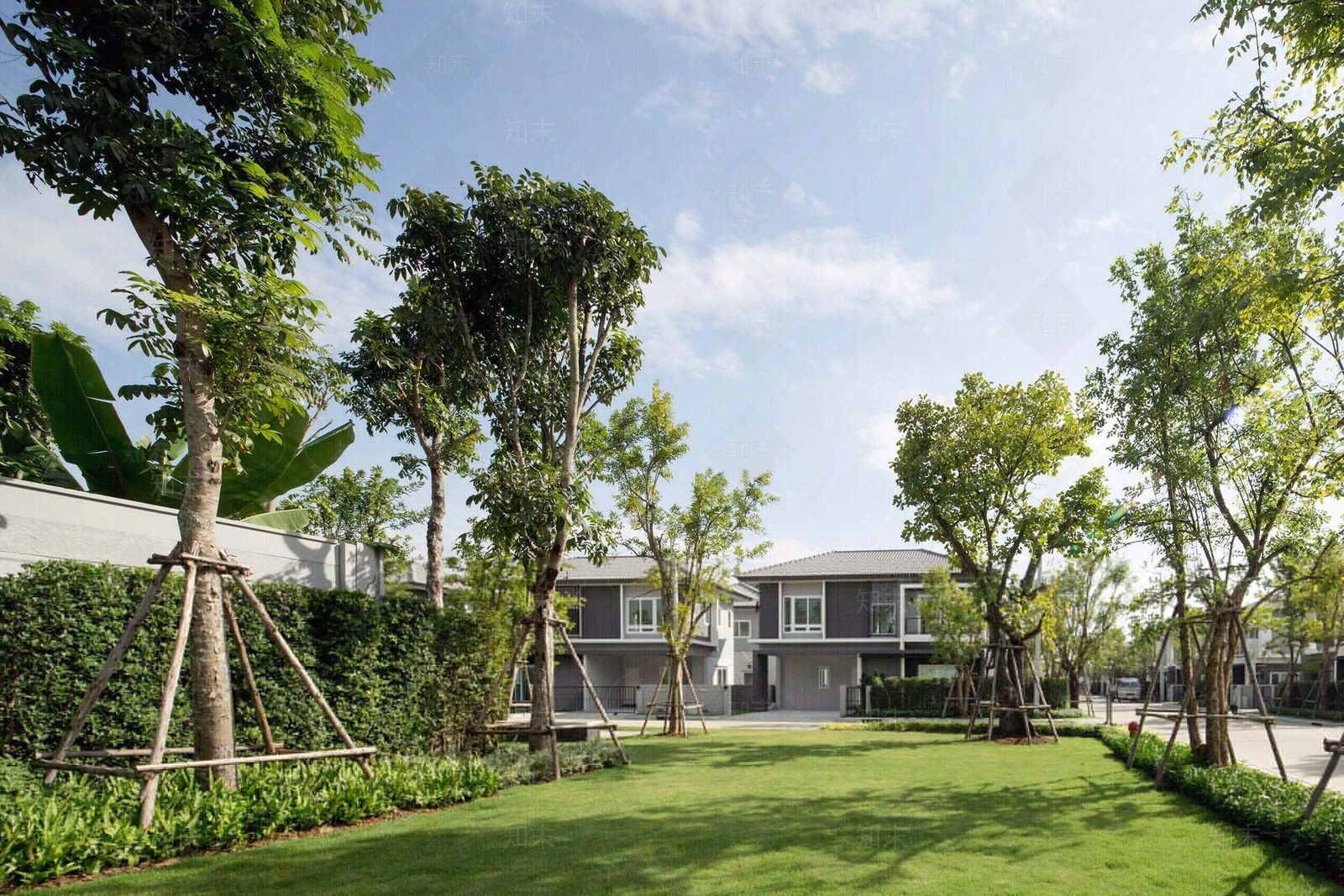 外景户外日景贴图贴图下载【ID:999821142】