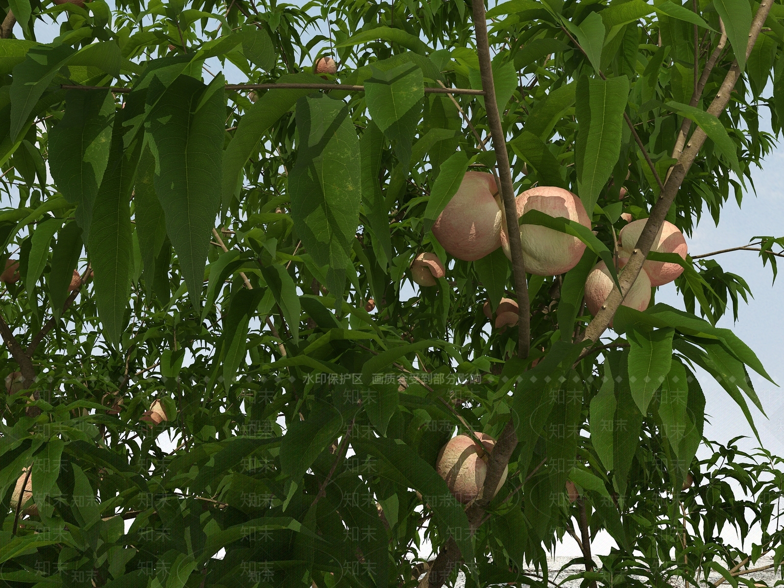 现代树木3D模型下载【ID:399882630】