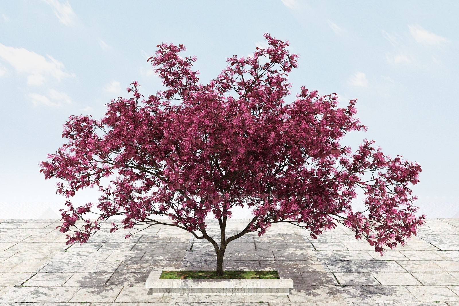 现代梅花树3D模型下载【ID:1100405121】