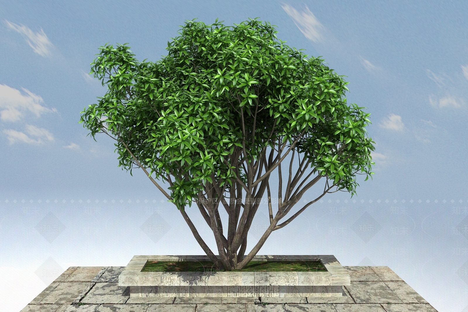 现代树木3D模型下载【ID:1100424323】