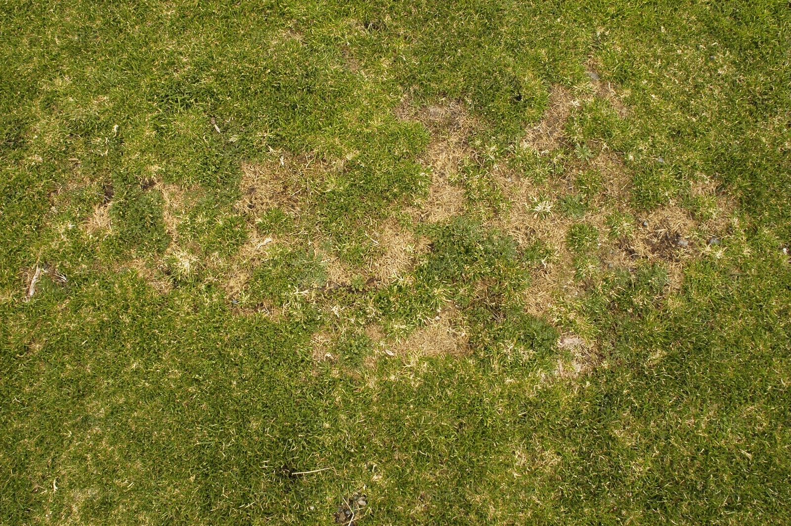 高清地面草地贴图贴图下载【ID:1100447557】