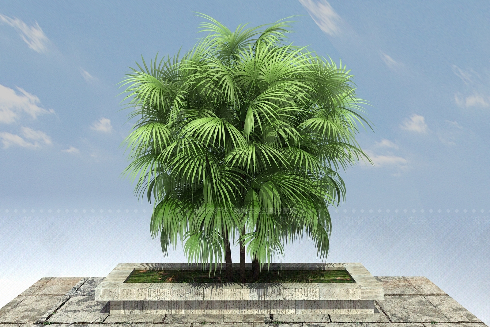 现代开花植物3D模型下载【ID:1100472770】