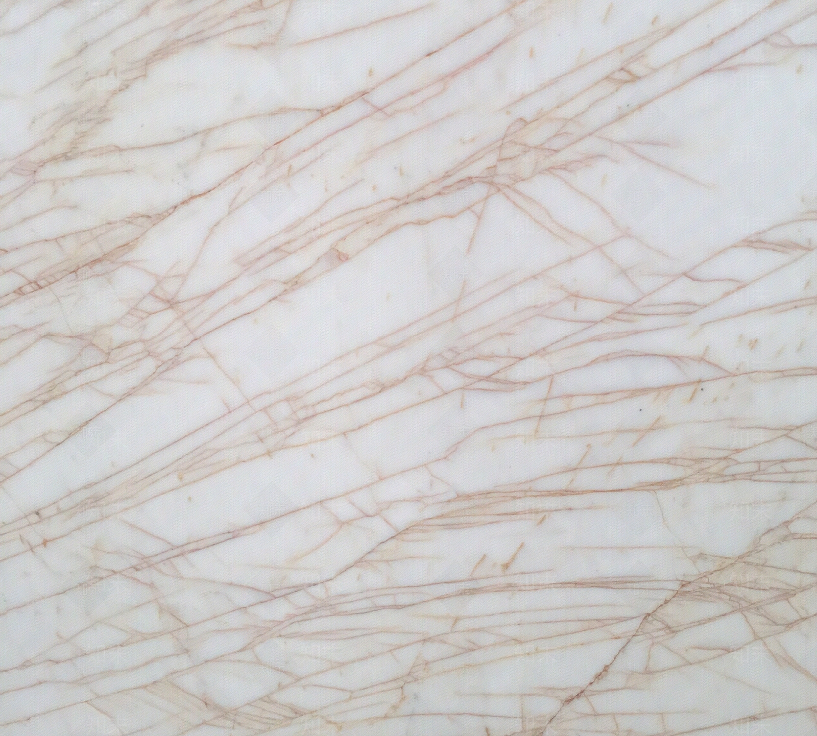 浅黄金色网纹天然金蜘蛛大理石贴图下载【ID:1100489900】