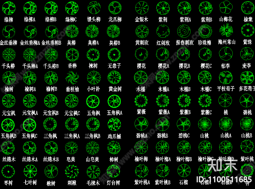 园林植物cad施工图下载【ID:1100511685】