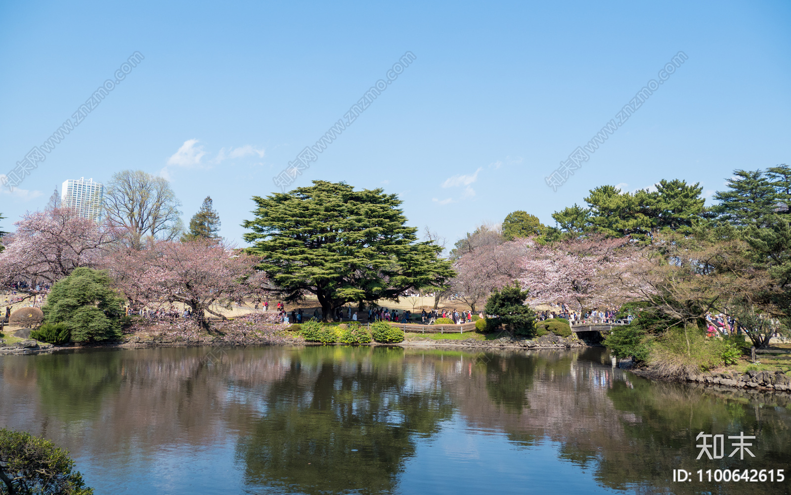 日式庭院外景图贴图下载【ID:1100642615】