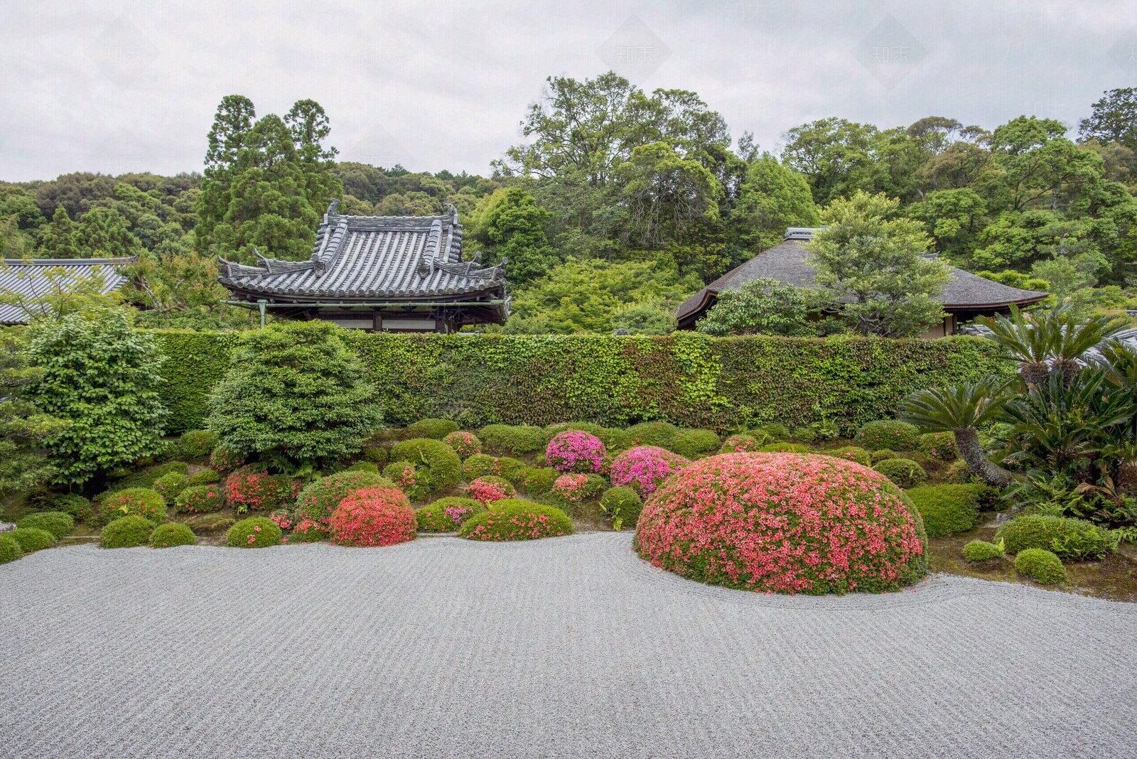 日式庭院外景图贴图下载【ID:1100643030】