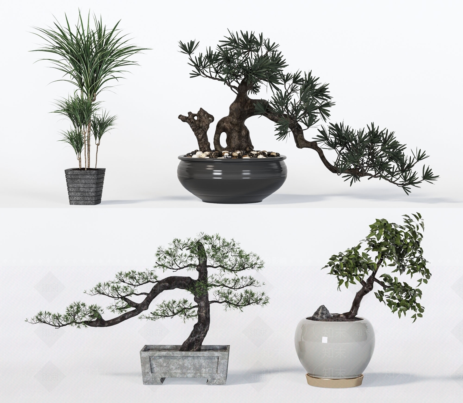 新中式松树盆栽3D模型下载【ID:1100680323】