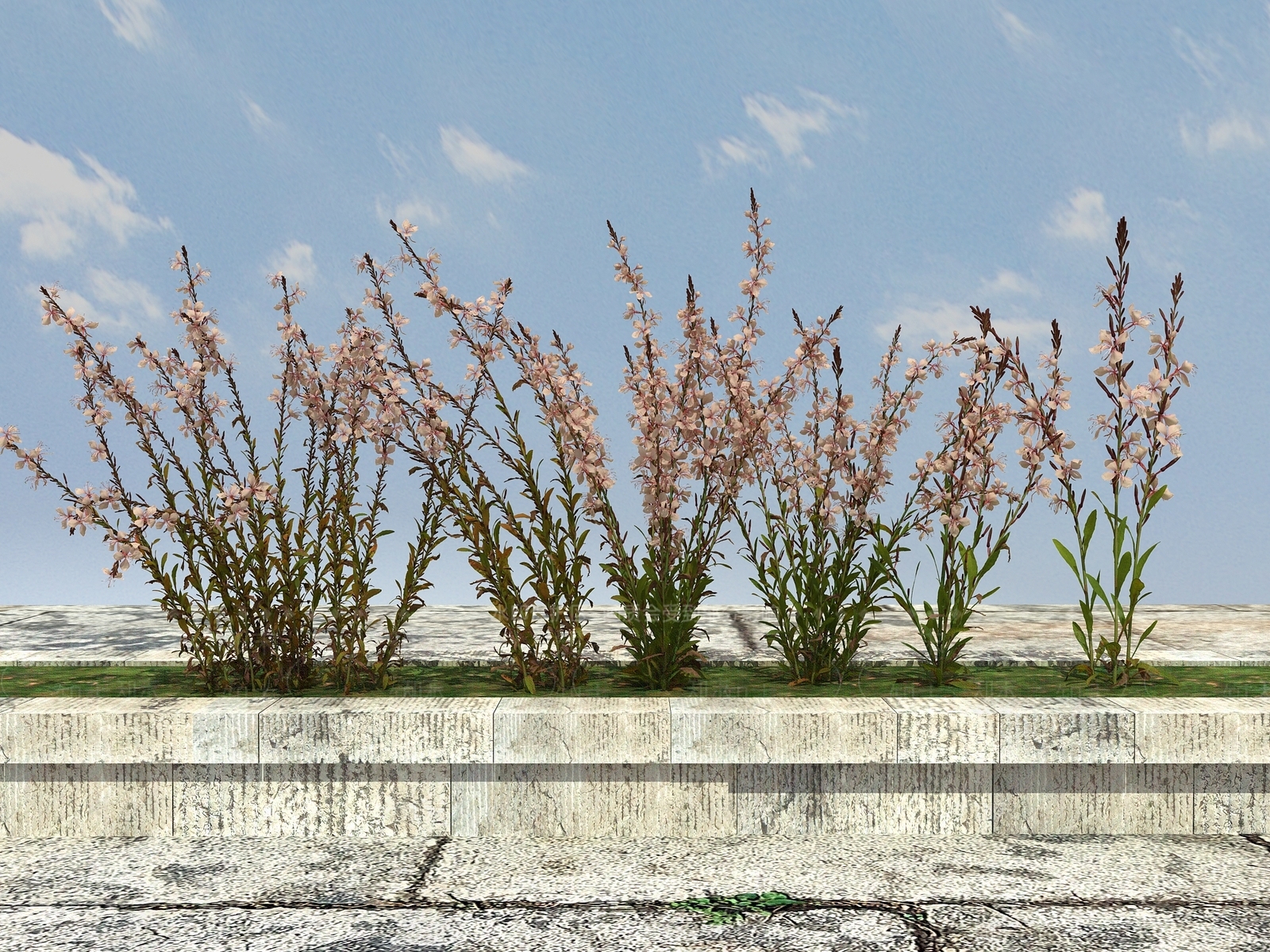 现代花坛3D模型下载【ID:1100706845】