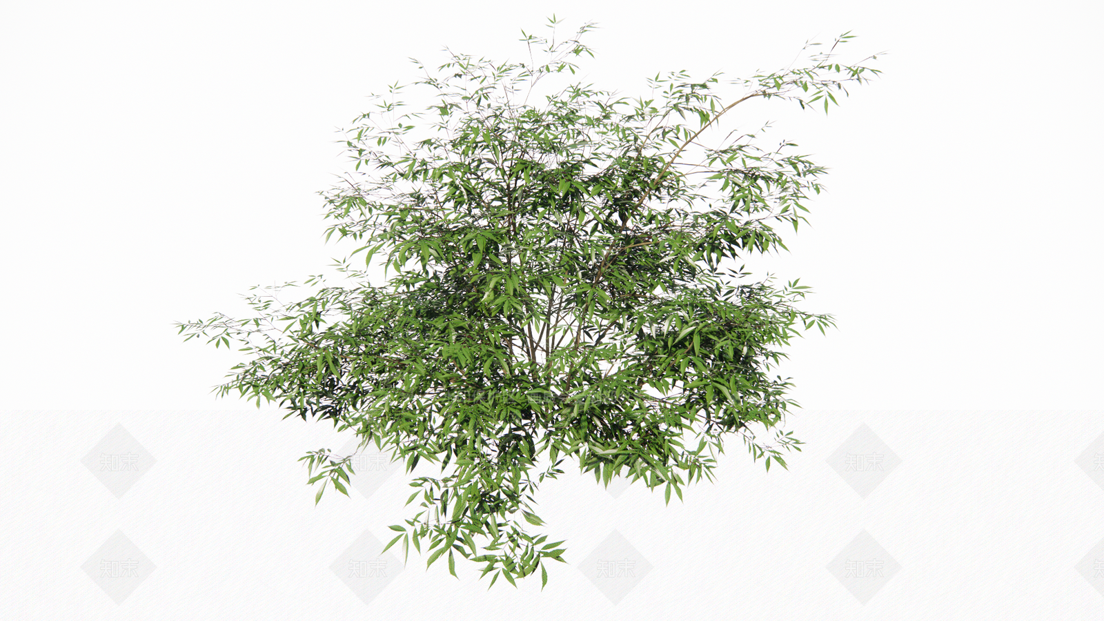 现代竹子SU模型下载【ID:1100798254】