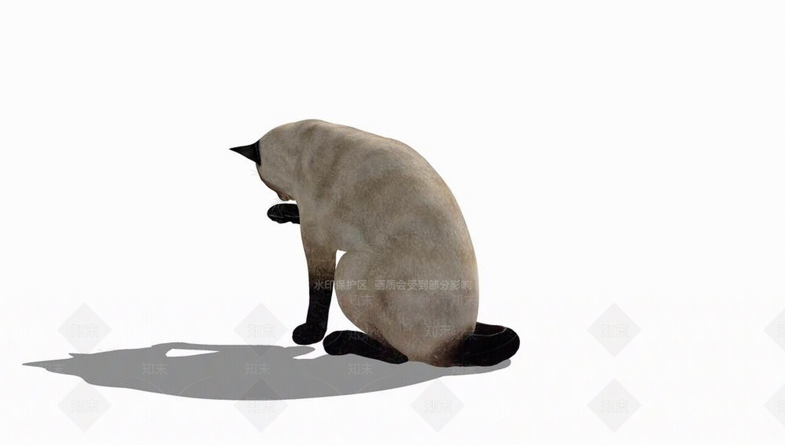 现代猫SU模型下载【ID:1100869291】