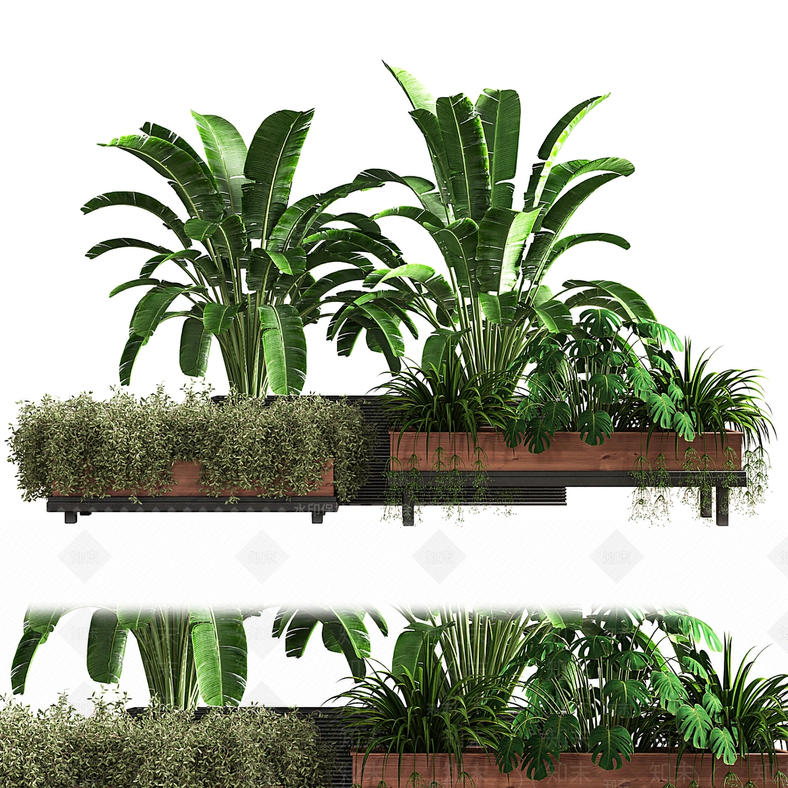 现代植物池3D模型下载【ID:1101194156】