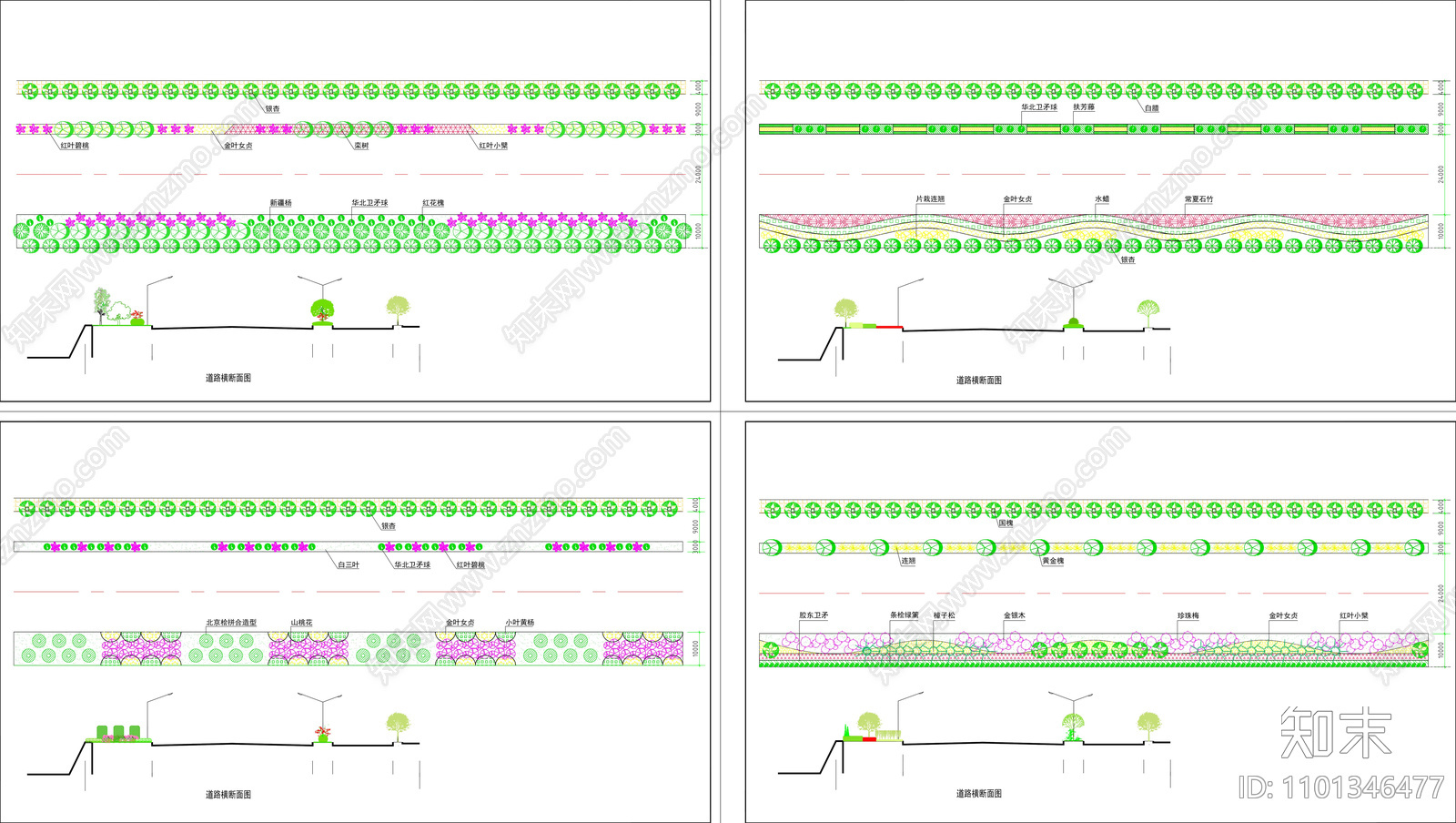 道路绿化标段及横断面图纸cad施工图下载【ID:1101346477】