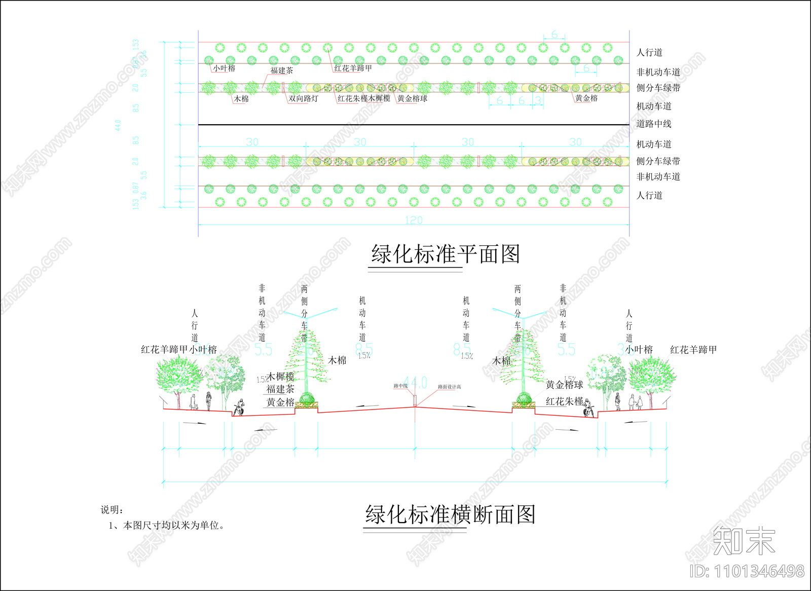 道路绿化标准平面及横断面图cad施工图下载【ID:1101346498】