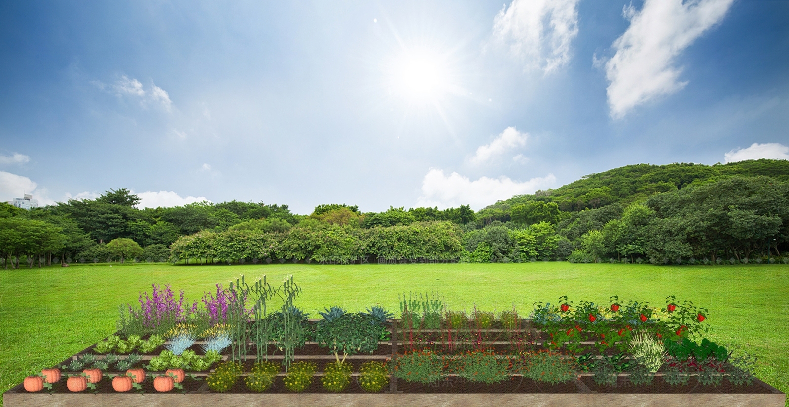 现代风格蔬菜园SU模型下载【ID:1101457633】