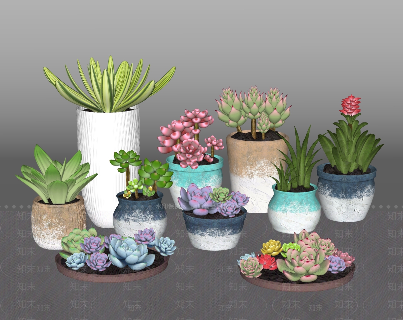 北欧多肉植物SU模型下载【ID:1101455599】