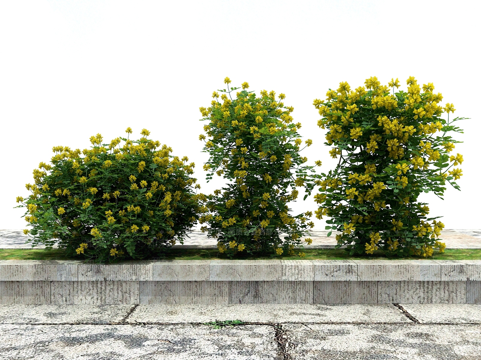 现代花坛花钵3D模型下载【ID:1101518760】