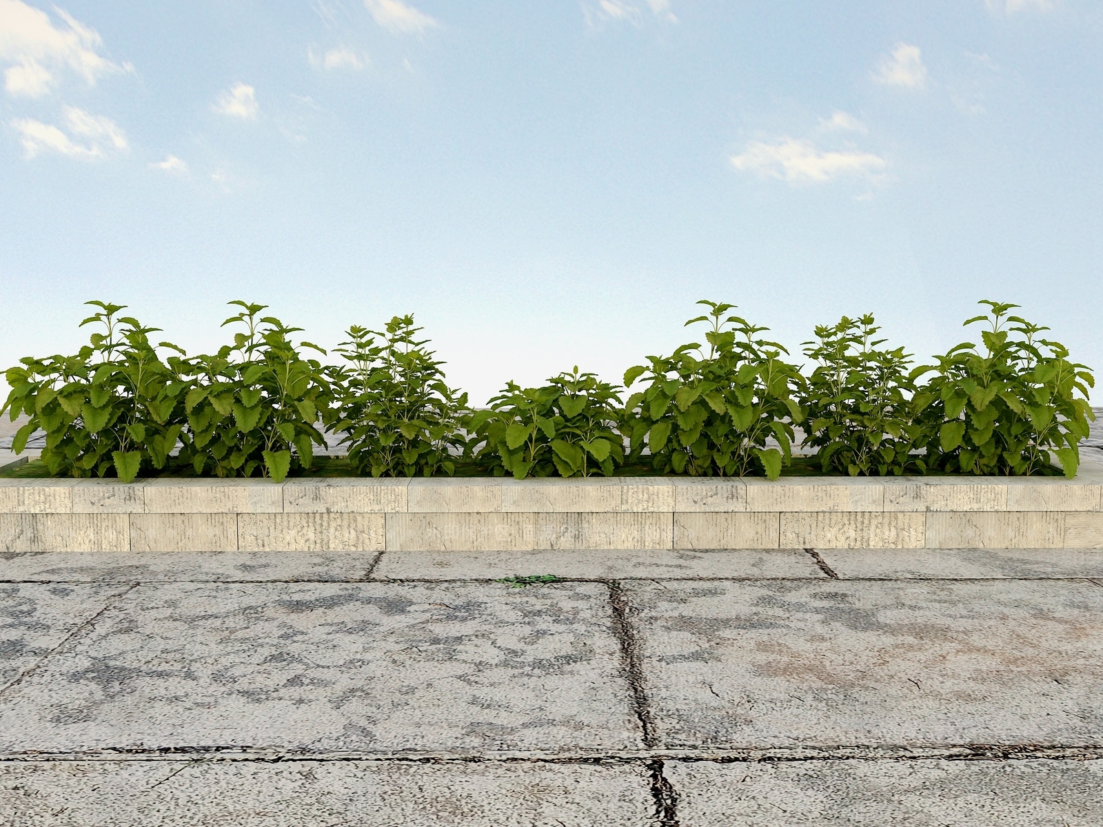 现代花坛3D模型下载【ID:1101534906】