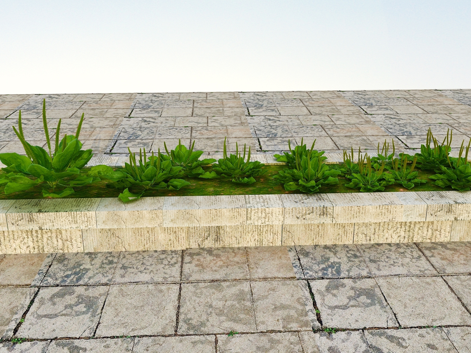 现代花坛3D模型下载【ID:1101622540】