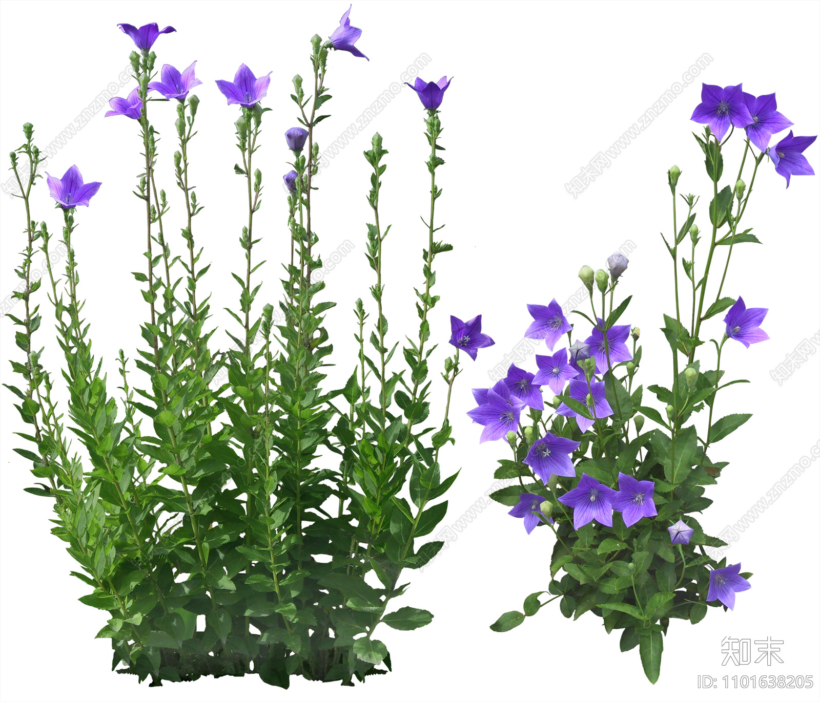 花草高清免抠贴图贴图下载【id:1101638205】