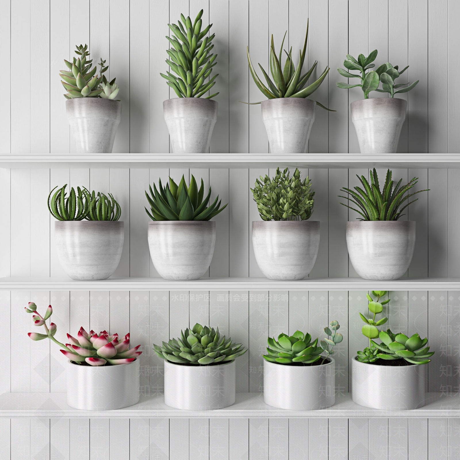 现代植物盆栽SU模型下载【ID:1101864110】