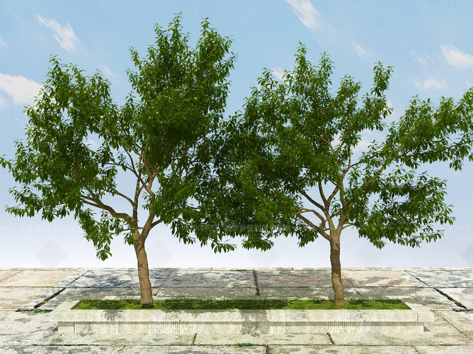 新中式果树植物3D模型下载【ID:1102183684】