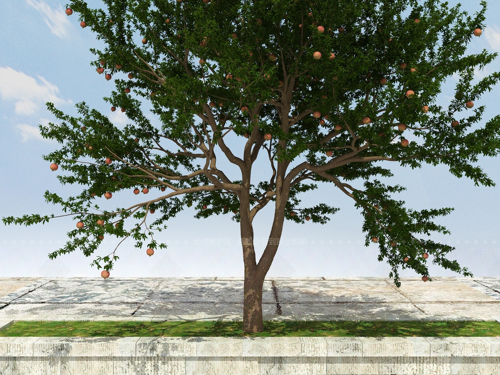 现代石榴树植物3D模型下载【ID:1102185039】
