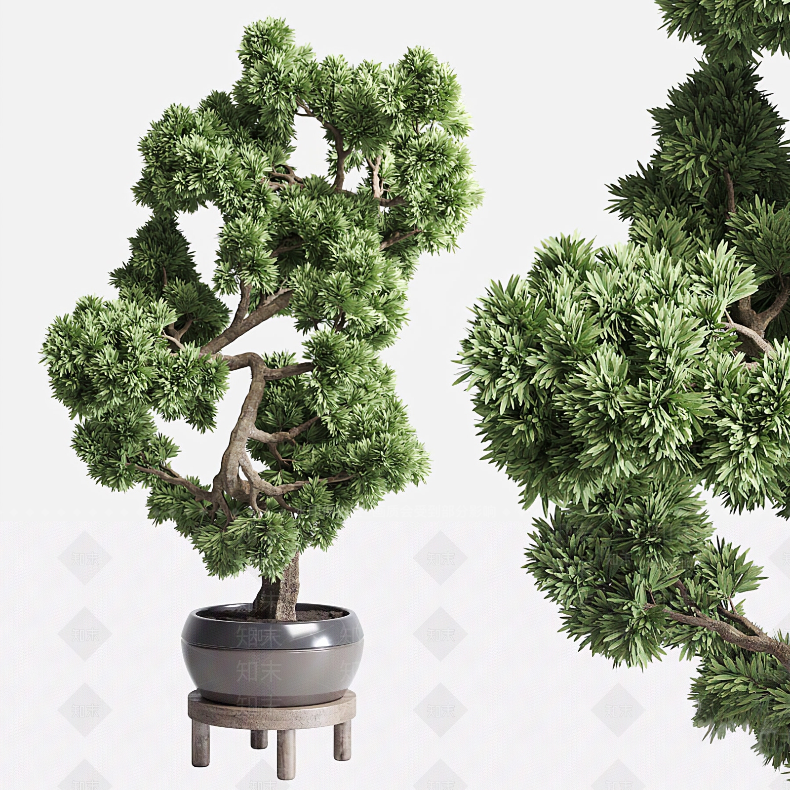 新中式盆栽3D模型下载【ID:1102267407】