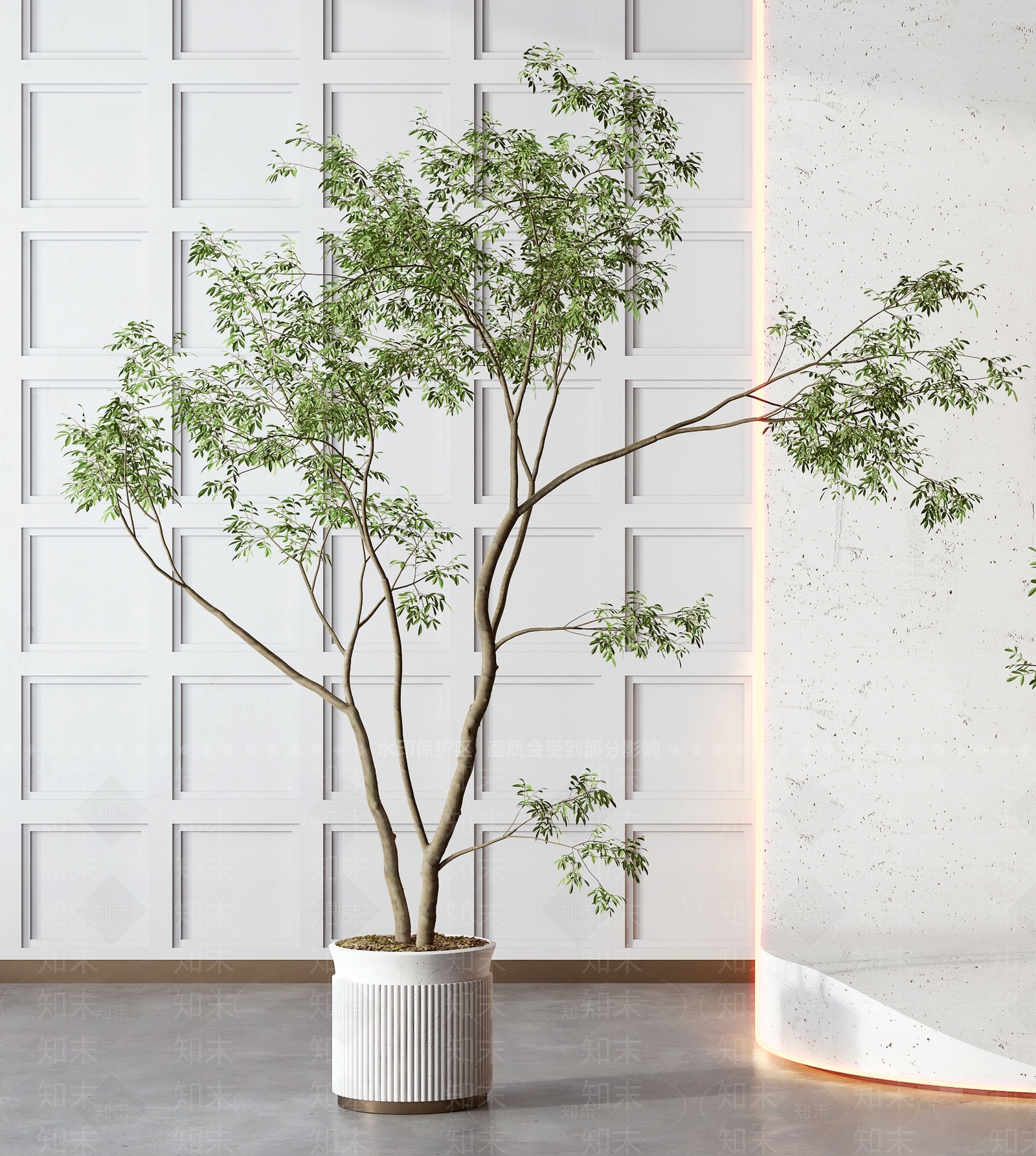现代植物盆栽3D模型下载【ID:1102447835】_知末3d模型网