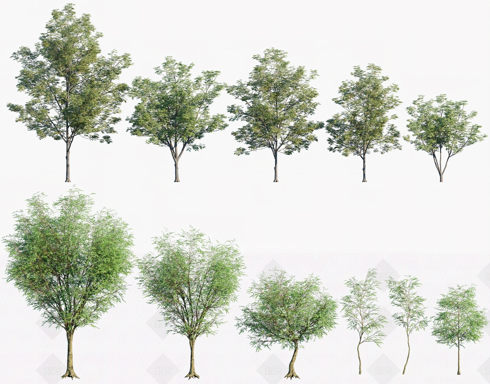 现代景观树3D模型下载【ID:1102574553】