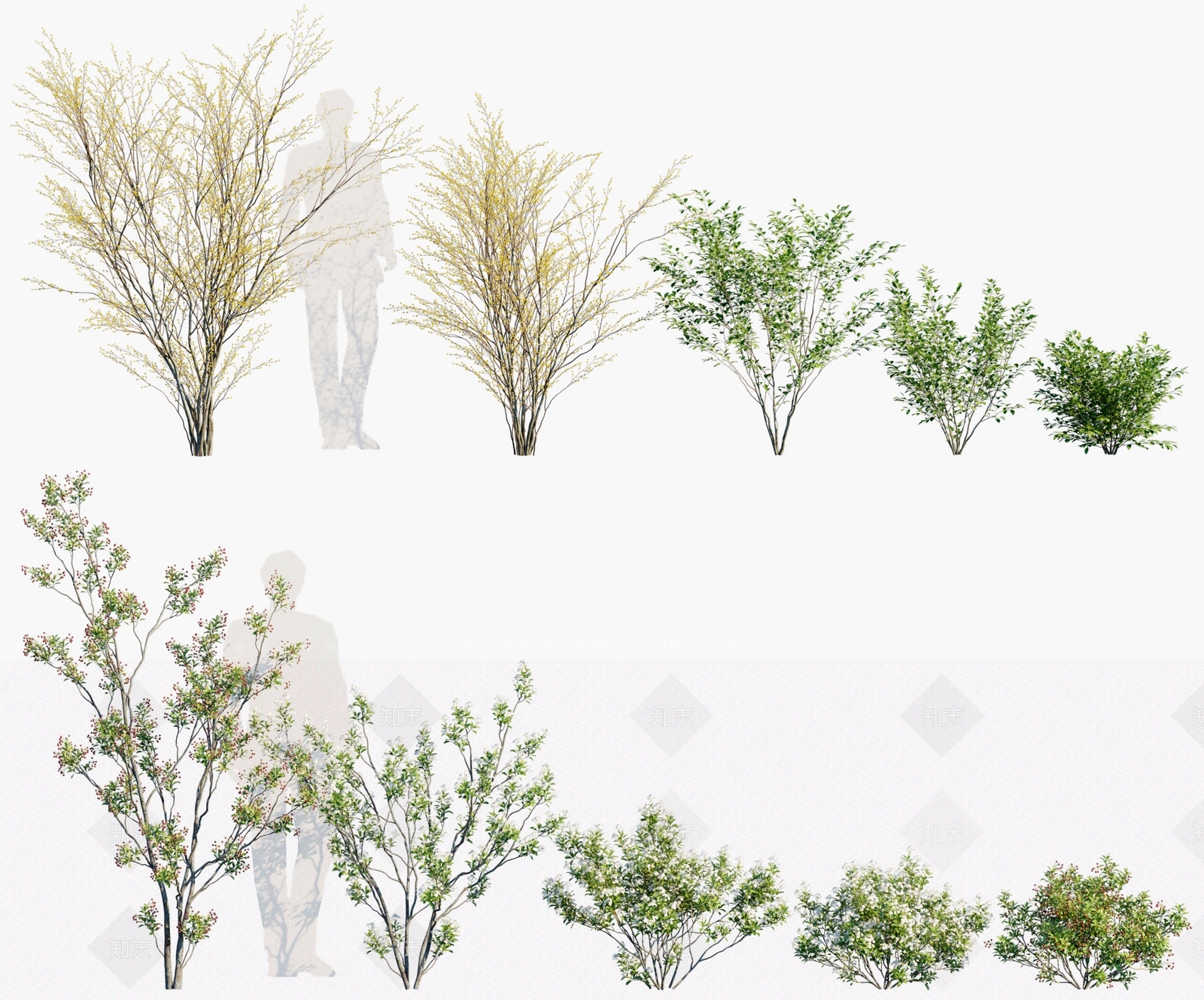 现代树木3D模型下载【ID:1102574614】